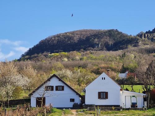 Bencze Pincze Badacsony Hill in Badacsonylabdihegy