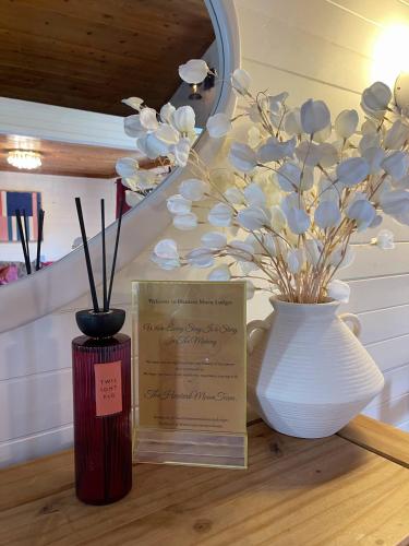 Otter 2 Lodge - Private Hot Tub- Dog Friendly - Wiltshire-Bristol 3