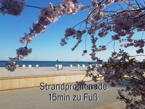 周辺観光スポット, Fewo Edel&Liebe Neubau mit Fahrstuhl, Parkplatz, Balkon, W-lan, ruhige Lage, Einkaufsmoglichkeiten 5 in グロミッツ
