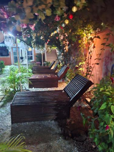 숙소 외관, Complexe Hôtelier Lassavane (Complexe Hotelier Lassavane) in 재크빌