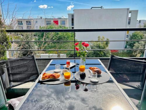 Grand Studio, coin nuit séparé, terrasse et garage privatif