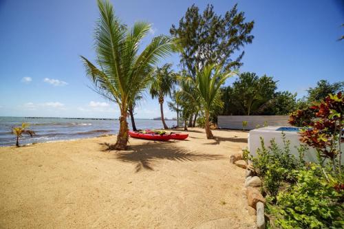 Villa Armoniosa - Stunning 4BR Beachfront Villa w/ Pool & Ocean Views in Riversdale