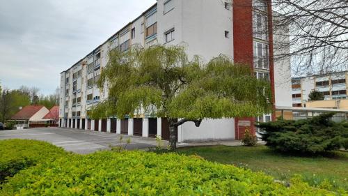 Könyvkuckó Apartman (Konyvkucko Apartman) in Harkany