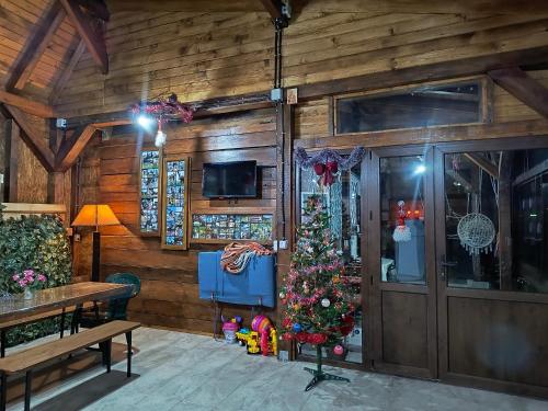 Casa Tilă - image 3