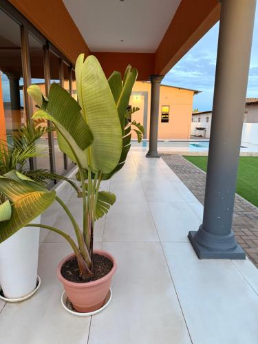 Glitz & Glam Guesthouse in Serule