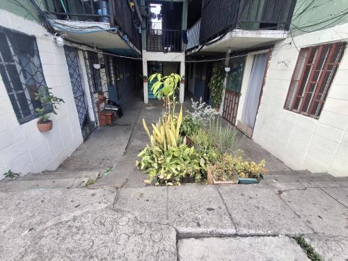 Backpacker's ROOF in San Salvador
