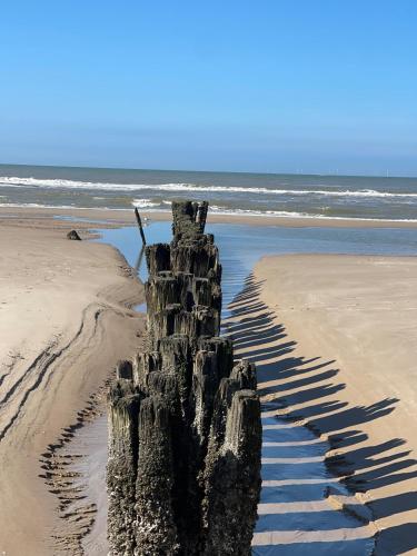 Beach, Guesthouse 'Elements' with panoramic views in Boendermaker