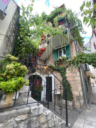 Ankora, Omiš (foto 2)