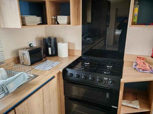 Flamingo Land Cedar Wood 118 in Kirby Misperton