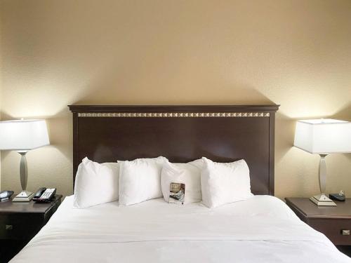 Comfort Suites by Choice Hotels Kingsland I-95 Kings Bay Naval Base - image 44