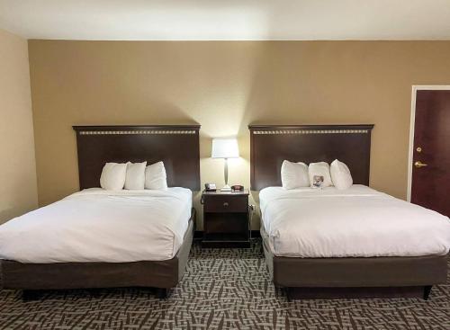 Comfort Suites by Choice Hotels Kingsland I-95 Kings Bay Naval Base - image 26