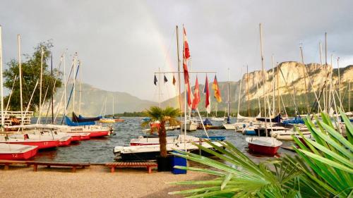 景觀, Ferienwohnung Segelschule Mondsee in 蒙德西