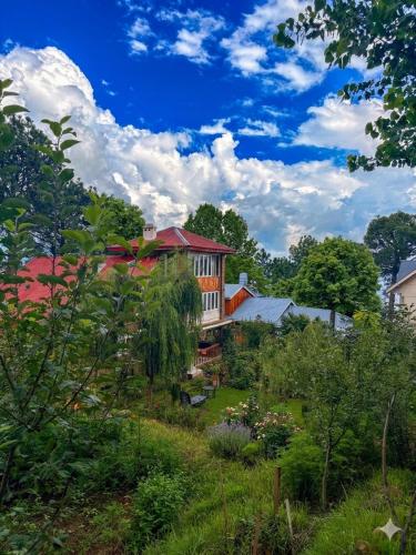 The Shivdhaar Estate kud'Patnitop