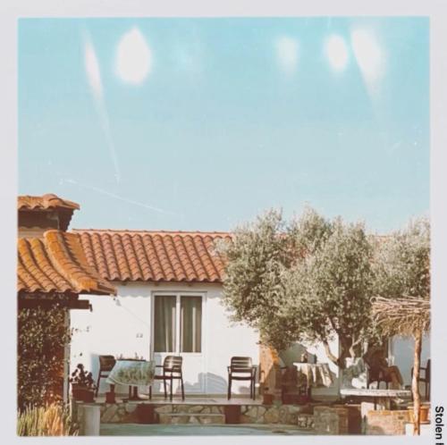 . Diarla's Home 3