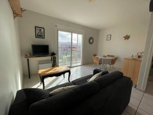 Appartement place maillol vue mer SAINT CYPRIEN PLAGE SC610-036 - image 2