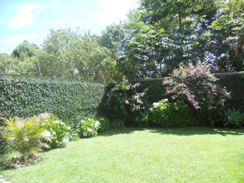 Hospedagem Three Little Birds