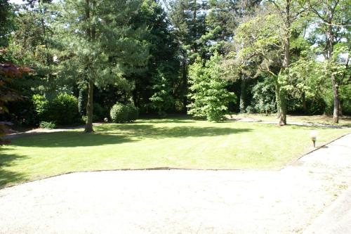 Hotel Du Chateau - image 3