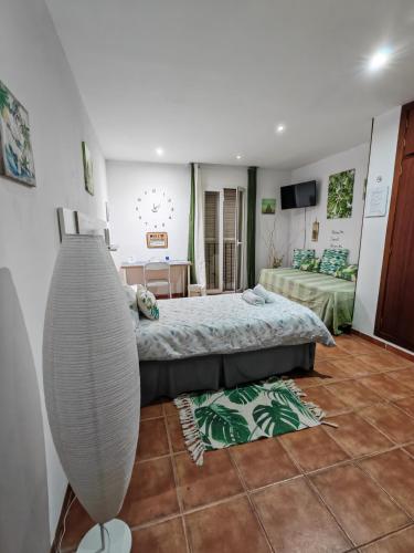 Las Salinas Rooms 5