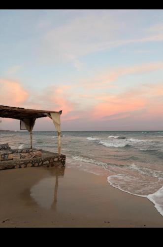 Sea View Camp Nuweiba in الواجهة البحرية لنويبع