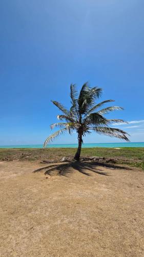 Beach, Lindo apartamento beira mar em Maceio-AL in Garca Torta