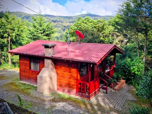 Las Bromelias Lodge in El Jardín