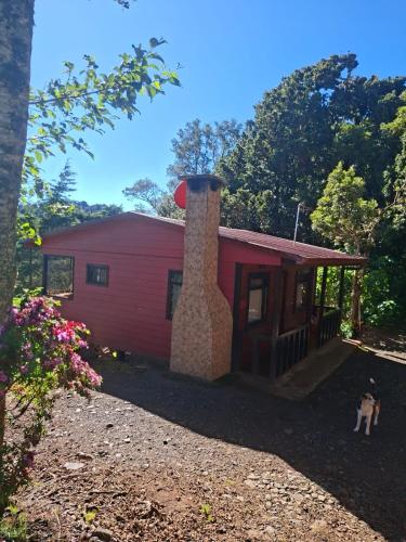 Las Bromelias Lodge in El Jardín