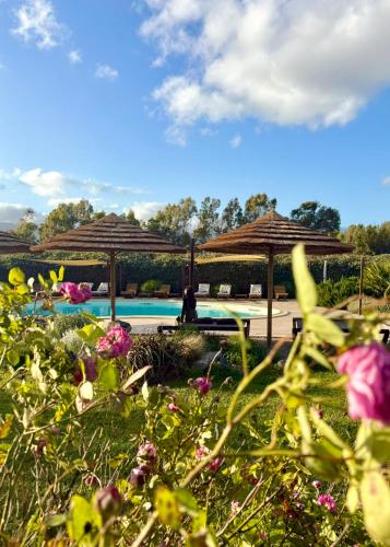 Book the Queen Room with Garden View Queen Room with Garden View