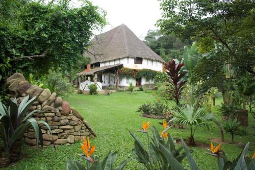 Villa Rossy