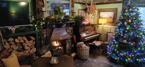 . Brunant Arms Hotel