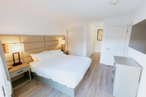 1 king bed, 1 sofa bed
