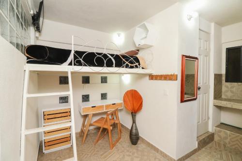 Hostal Pena de Carlo in Toluca