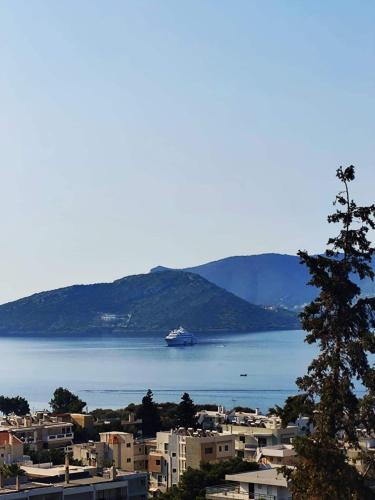 Panoramic Sea View - Πόρτο Εννιά