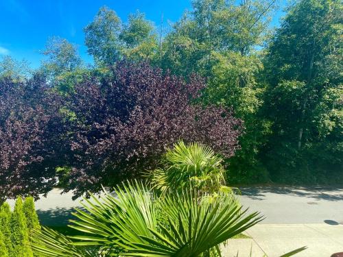 Sunny 1BR by Galloping Goose in Colwood