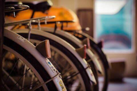 알로하 란타