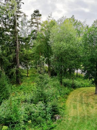 Kodikas huoneisto luonnon äärellä, lähellä keskustaa (Kodikas huoneisto luonnon aarella, lahella keskustaa) in Imatra