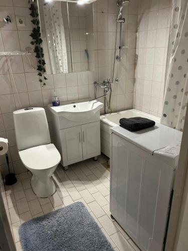 Kodikas huoneisto luonnon äärellä, lähellä keskustaa (Kodikas huoneisto luonnon aarella, lahella keskustaa) in Imatra
