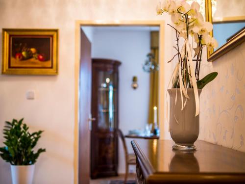 Facilities, Apartment "Maria Theresia" in Waltendorf