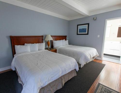 Pacific Heights Inn Room Type - Double Room with Two Double Beds