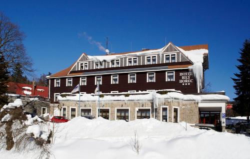 Spa Hotel Bily Horec - image 13