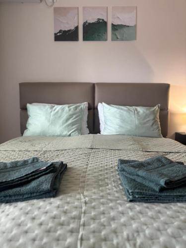 Apartman Panorama in Temerin
