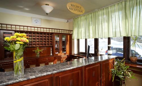 Spa Hotel Bily Horec - image 12