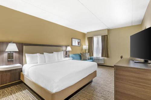 1 king bed, 1 sofa bed