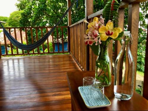 Tortuguero Casa Pelican in 托土蓋羅