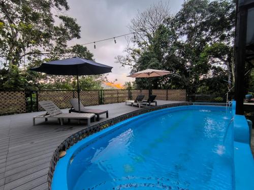 Rainforest Lodge del Rio in Portobelo