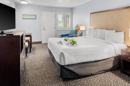 1 king bed