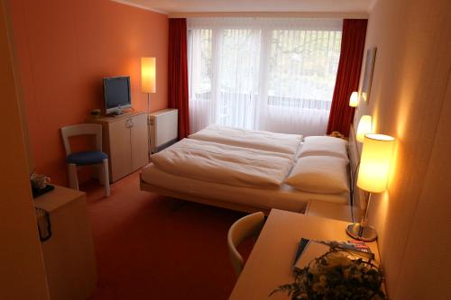 Hotel-Restaurant Seegarten-Marina Room Type - Double Room with Castle View