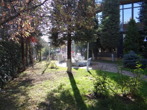 Hotel Konti - image 14