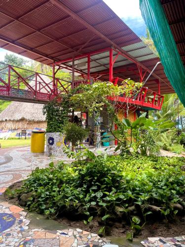 Garten, Rocking J's in Puerto Viejo de Talamanca