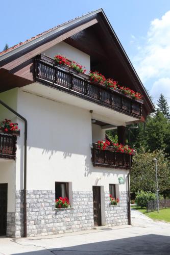 Iekārtas, Penzion Pr' Betel in Planina pod Golico