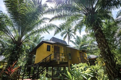Anurak Lodge, Khao Sok